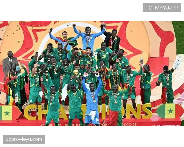 非洲杯决赛激情落幕：球队顽强拼搏铸就历史性对决，感动全场球迷